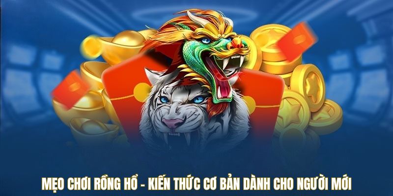 meo-choi-rong-ho-kien-thuc-co-ban