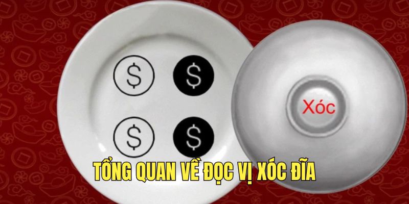 tim-hieu-thong-tin-ve-doc-vi-xoc-dia